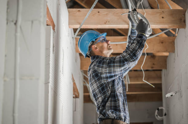 Best Electric Panel Repair  in Prairie Grove, IL